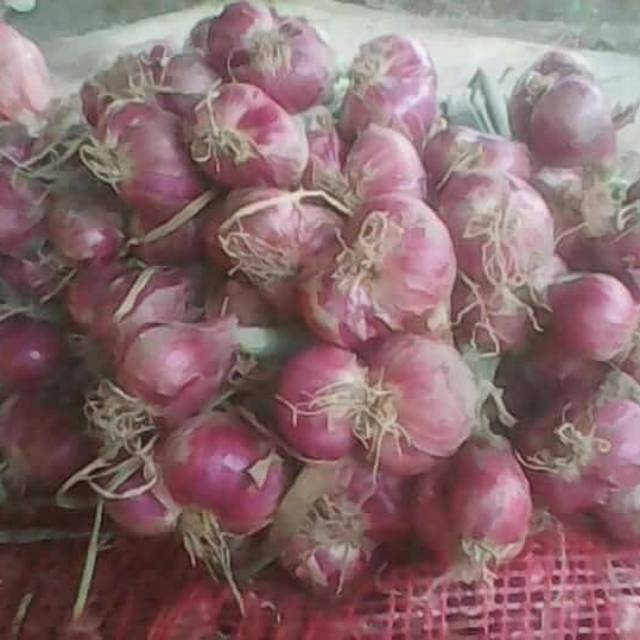 

Bawang merah asli kab kediri