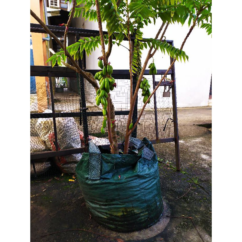 planter bag 75 liter
