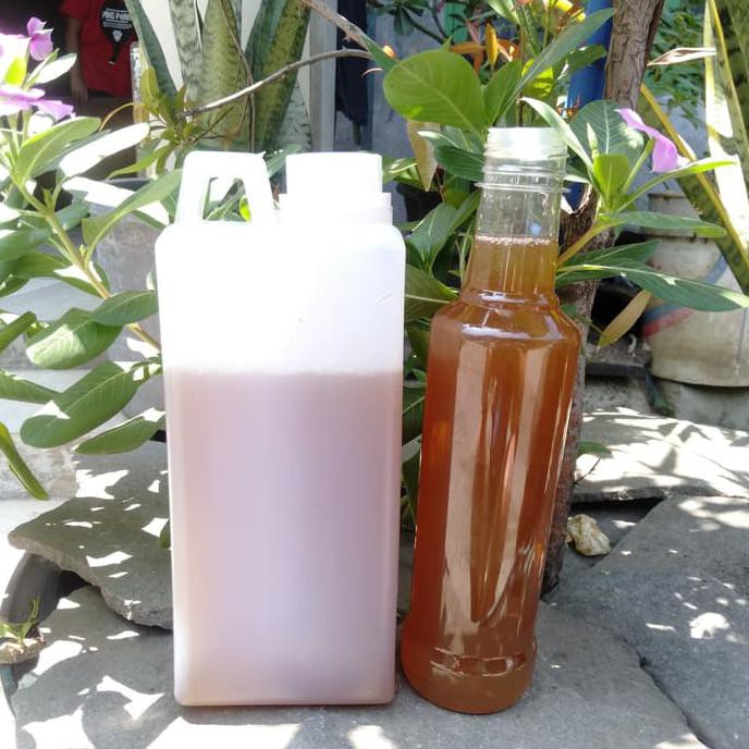 

madu baduy asli 1kg