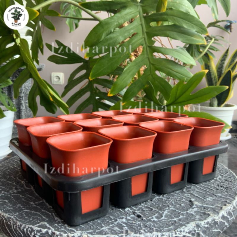 1 set Tray + pot bunga nkt kotak 5cm MERAH BATA | tray semai bibit