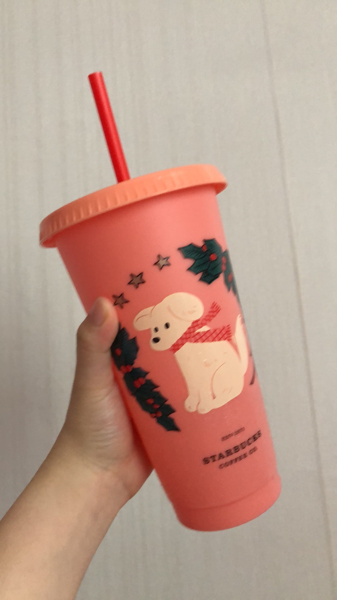 Reusable Starbucks Indonesia Cup