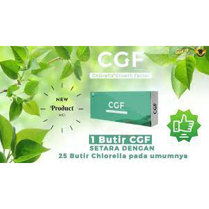 CGF  Chlorella Growth Factor MCI suplemen kekebalan tubuh obat kolestrol obat darah tinggi Herbal