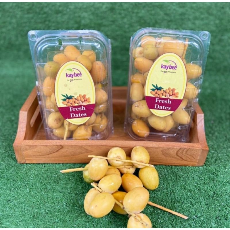 

KURMA MUDA KUNING