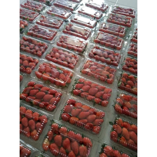 

STRAWBERRYSEGARgradeC