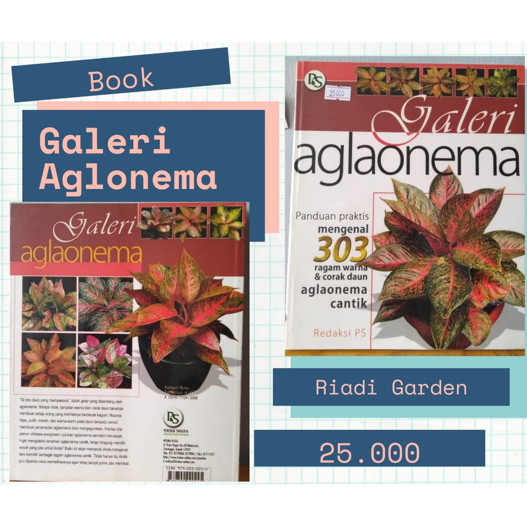 Obral Buku Galeri Aglonema Mengenal 303 Ragam Warna dan Corak