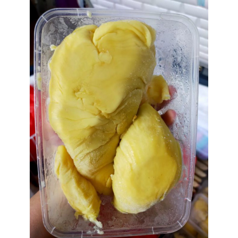 

DurianMontongPalu