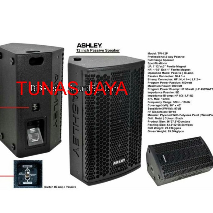 Speaker Pasif Ashley TW 12 P