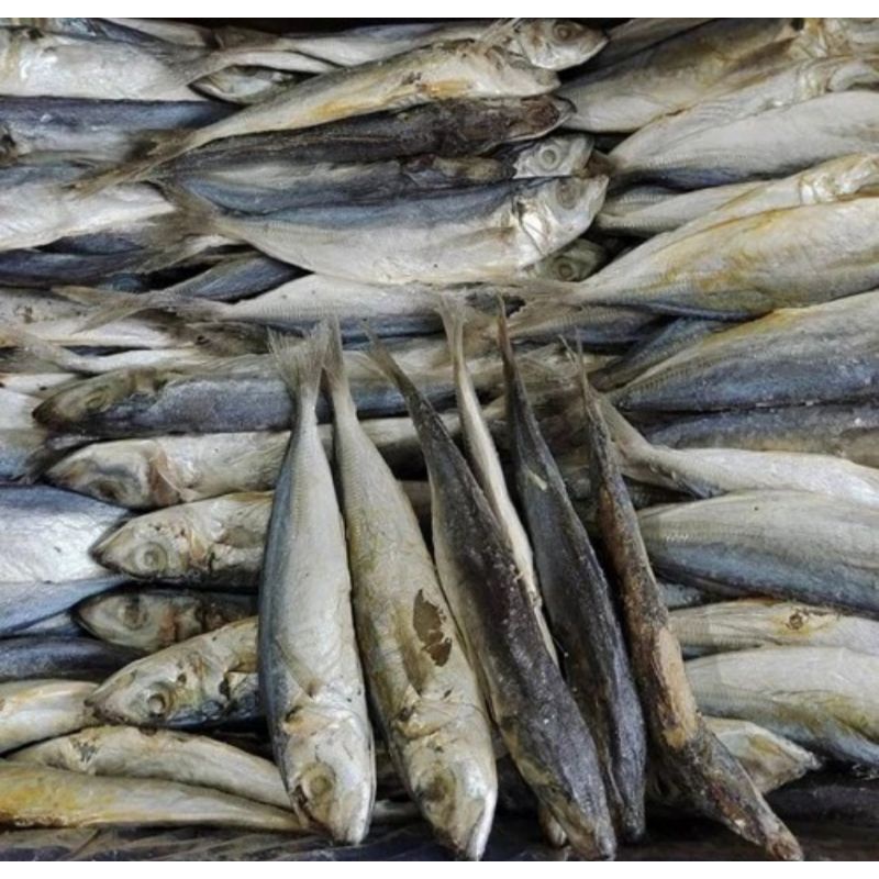 

Ikan Asin Japu Layang / Japuh Layang / Japu Layang Segar 100gram
