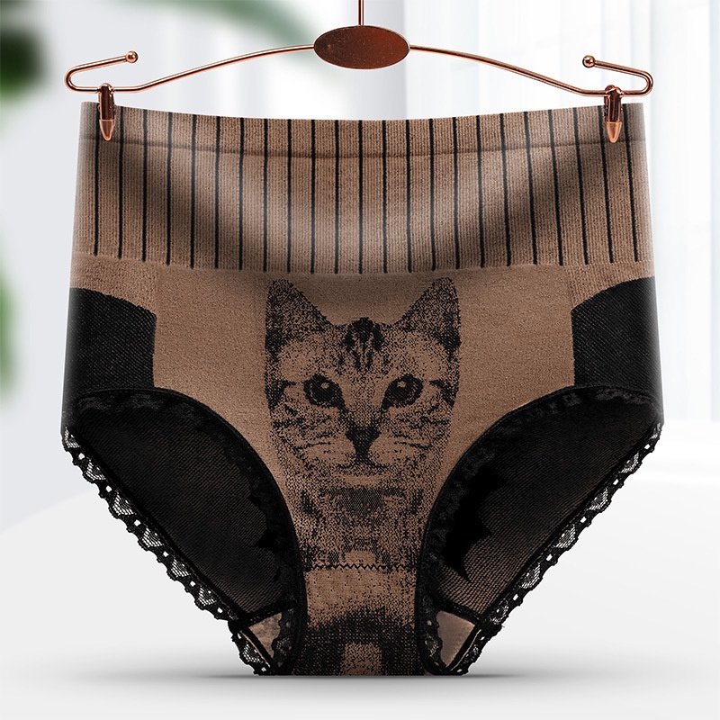 Celana Dalam Wanita Tinggi Renda CD Underwear Panties CAT Style CD40