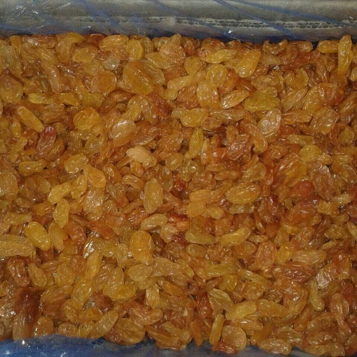 

Golden Raisin Jumbo 100 Gram Kismis Kuning Jumbo 100Gr