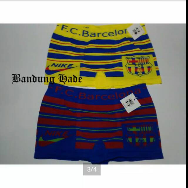 Boxer bola bandung