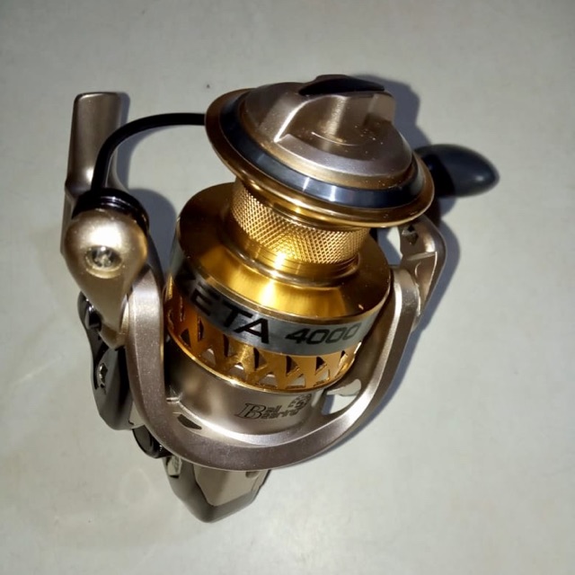 Reel Seahawk Zeta Size 4000