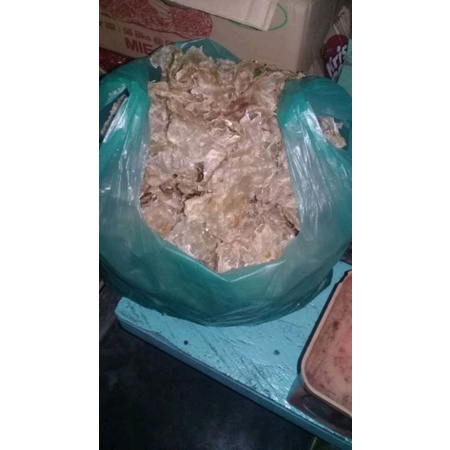 

Gelembung ikan manyung/perut ikan baung laut