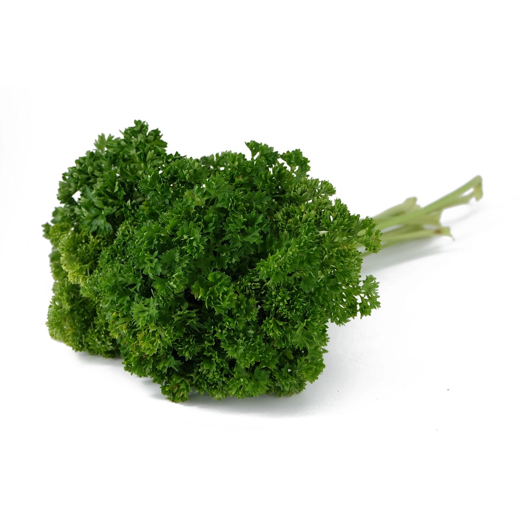 

Parsley FRESH/Daun Parsley/Daun peterselli segar (1 Pack)