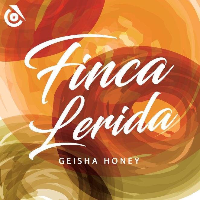 

Finca Lerida Geisha - Instinct Coffee - Biji kopi