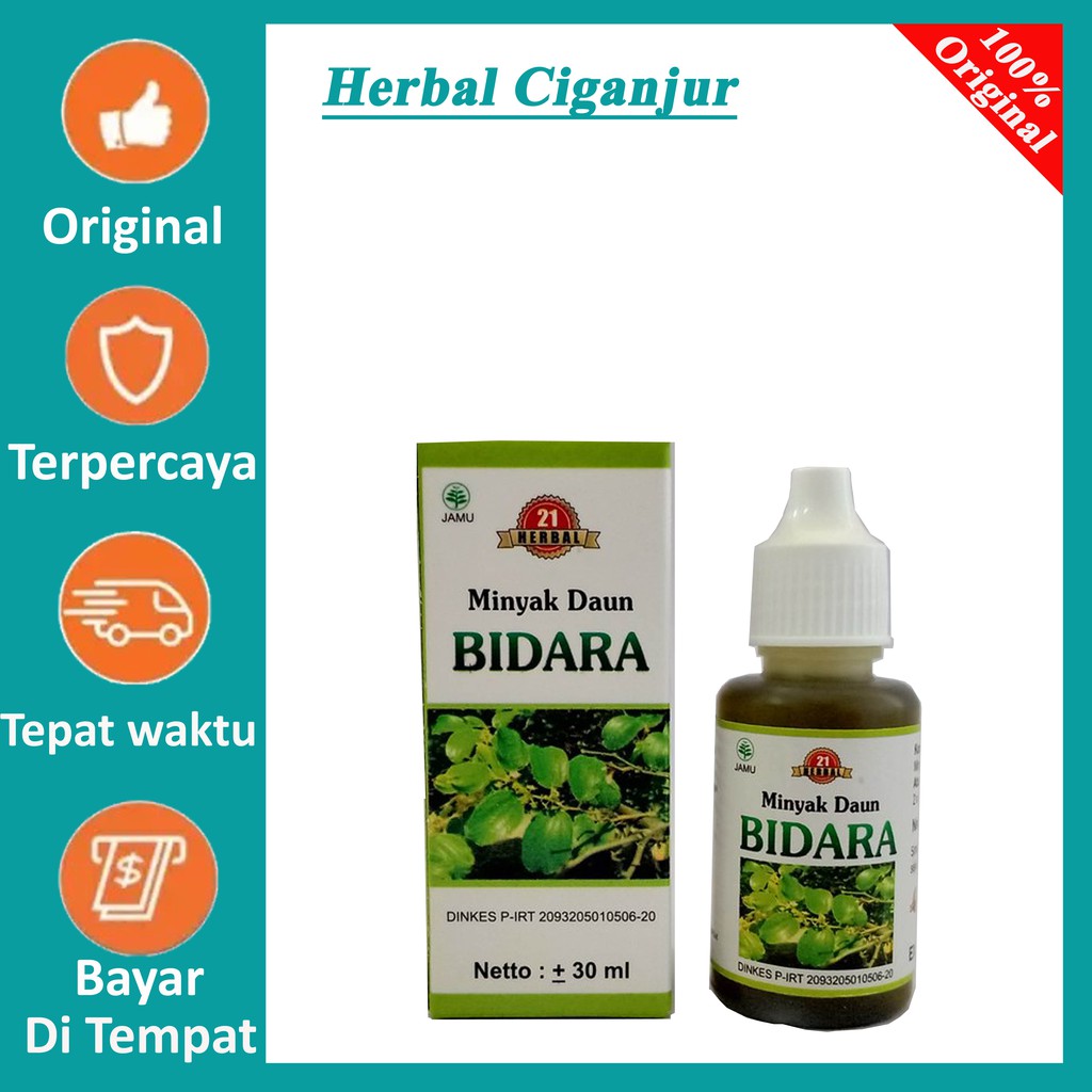 Minyak Daun Bidara 21 Mengobati  penyakit akibat bakteri virus seperti pilek influenza Isi 30 ml