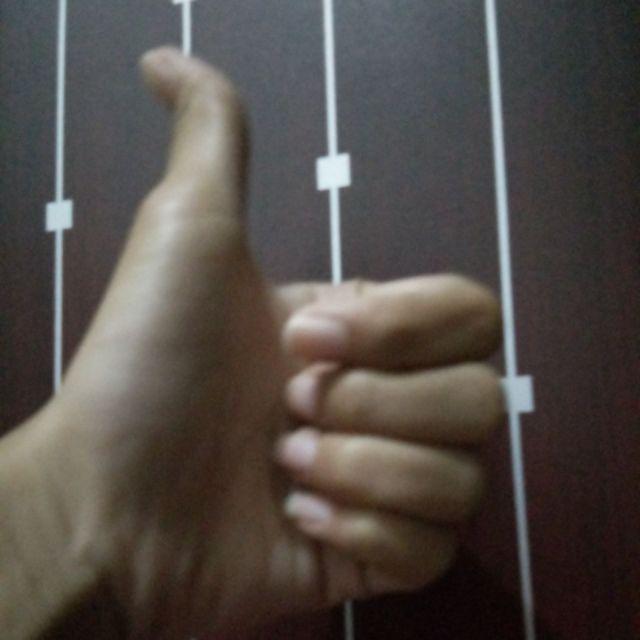 Pajangan Akar Wangi Gajah M 20x10x10 Cm