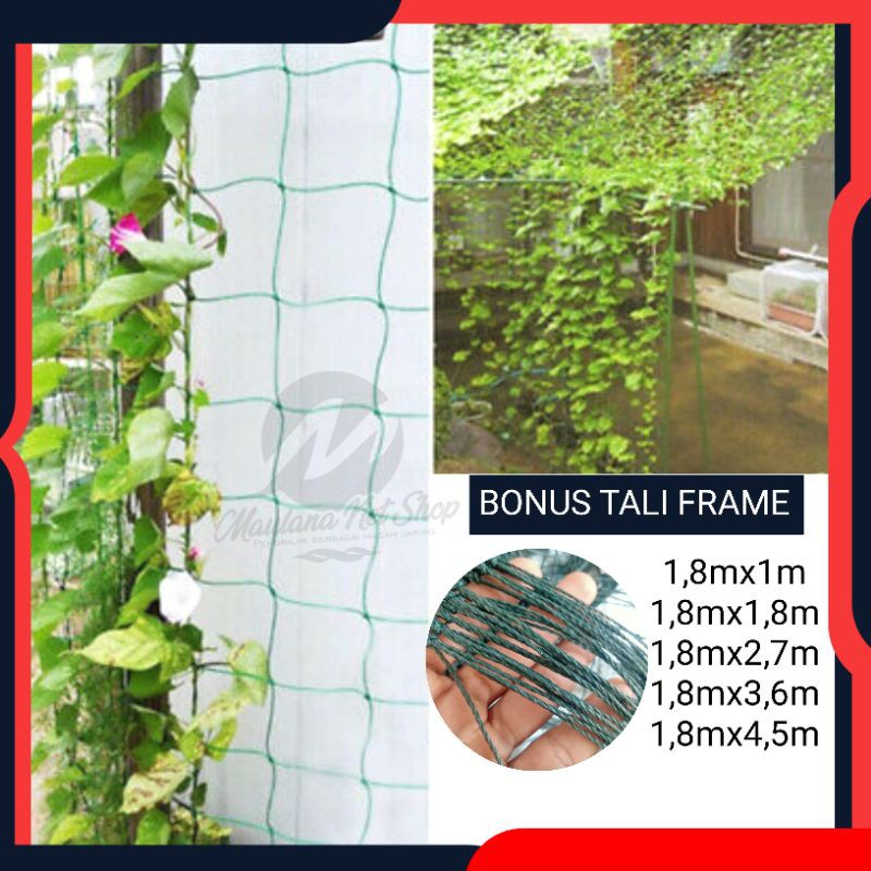 Jaring Tanaman Rambat/Jaring Tanaman Buah/Jaring Tanaman Anggur/Sayuran/TALI FRAME TERPASANG