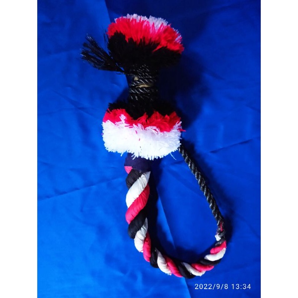 pecut wiroyudo pecut bopo pecut jaranan