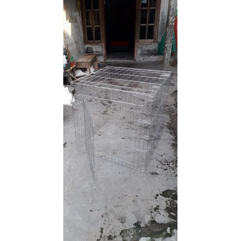 

umbaran ayam