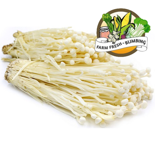 

jamur Enoki 100grm