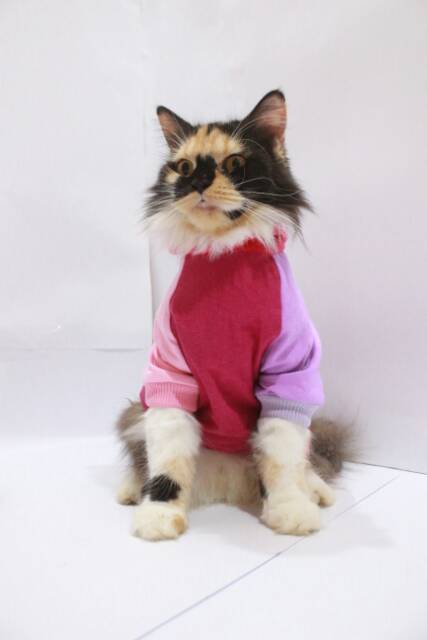 Kaos jumper hoodie joker 2 untuk kucing dan anjing size S-XL / baju kucing terlaris 2019