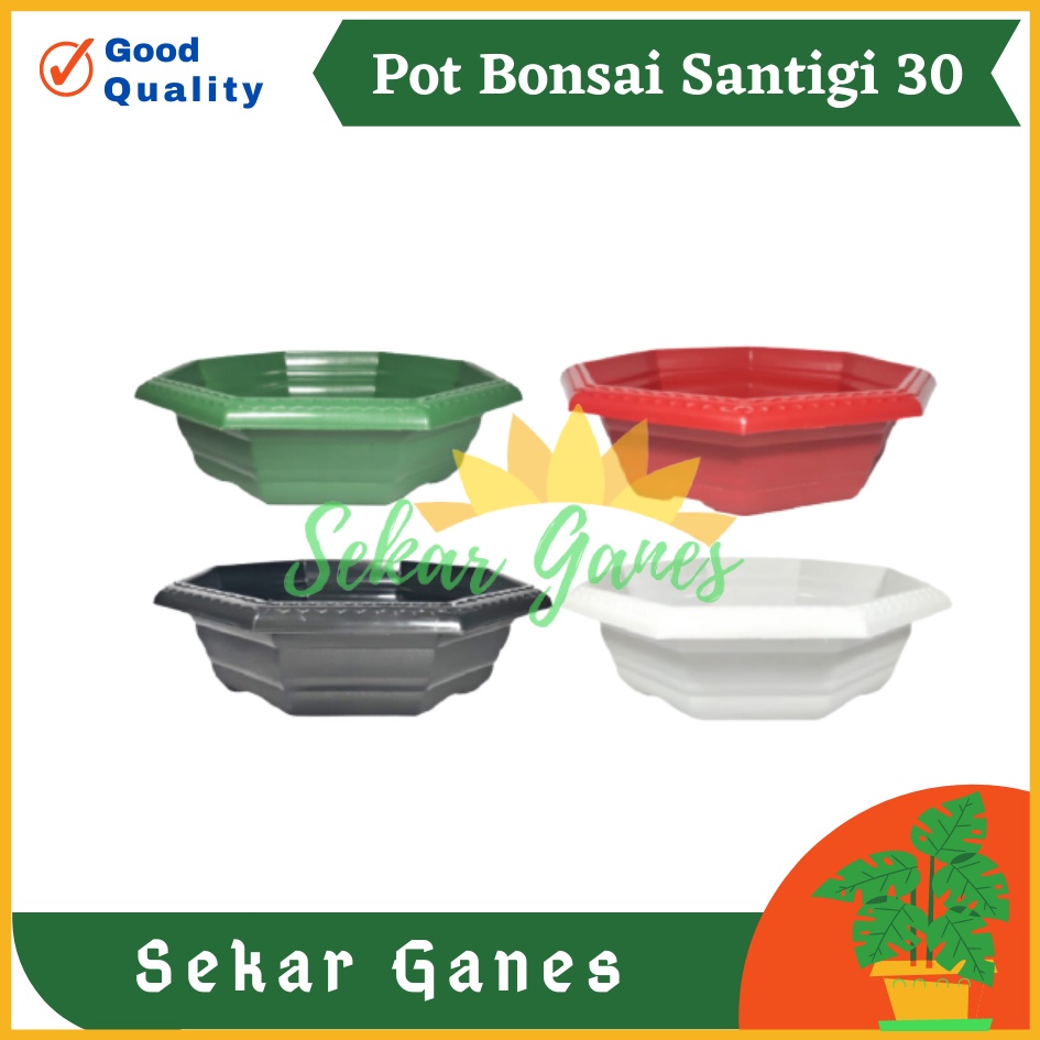 Pot Bonsai Santigi 30 Warna Warni Bonsai Segi 8 By Garden Of Love Pot Bonsai Kotak Ceper Kelapa