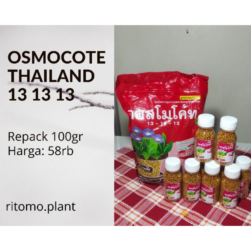 Dekastar Osmocote Thailand 13 13 13