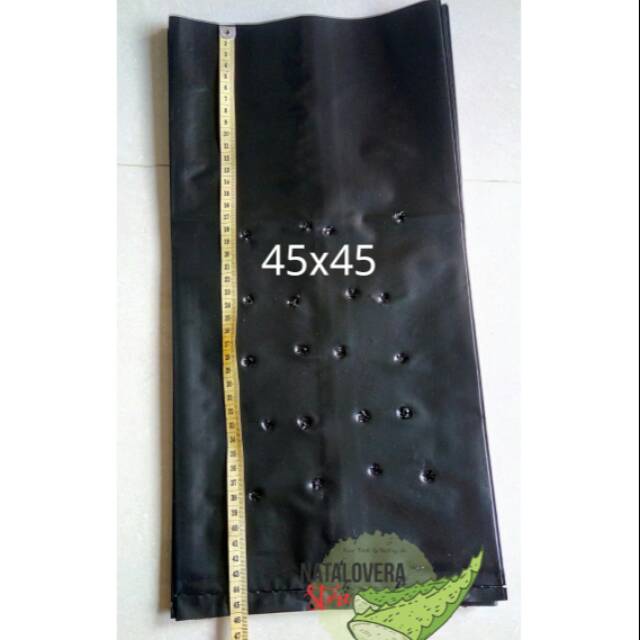 Terlaris Polybag 45x45 RLNBL1tdKljrk