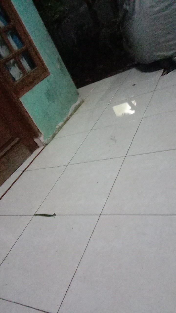 Kemeja Koko Batik Anak Dan Dewasa Motif Sidoasih - Kerang - Kenari