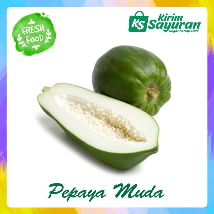 

Pepaya Muda (1 buah)