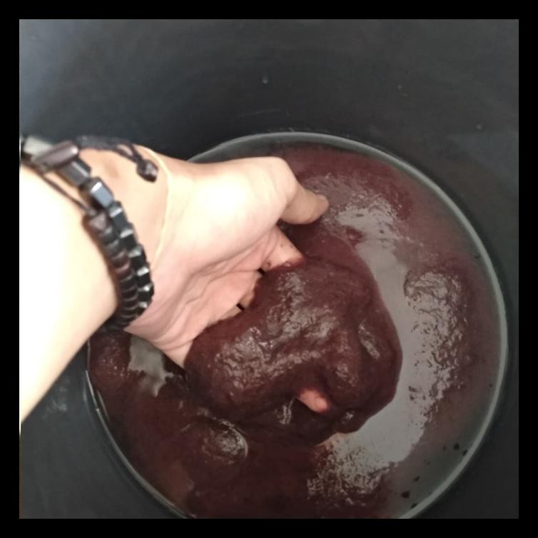 CACING SUTRA HIDUP PAKAN MAKANAN IKAN CUPANG BURAYAK