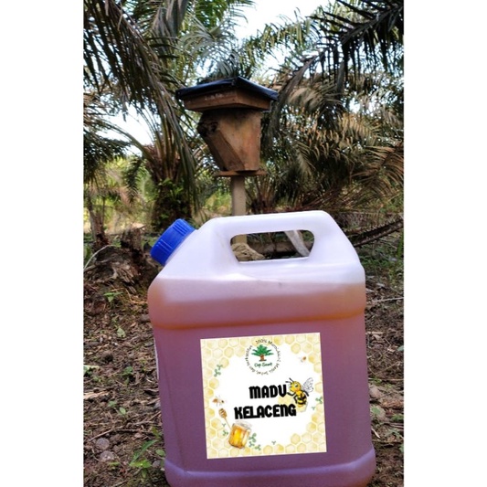 

madu kelaceng / madu kelulut murni dan manis 5liter 7kg