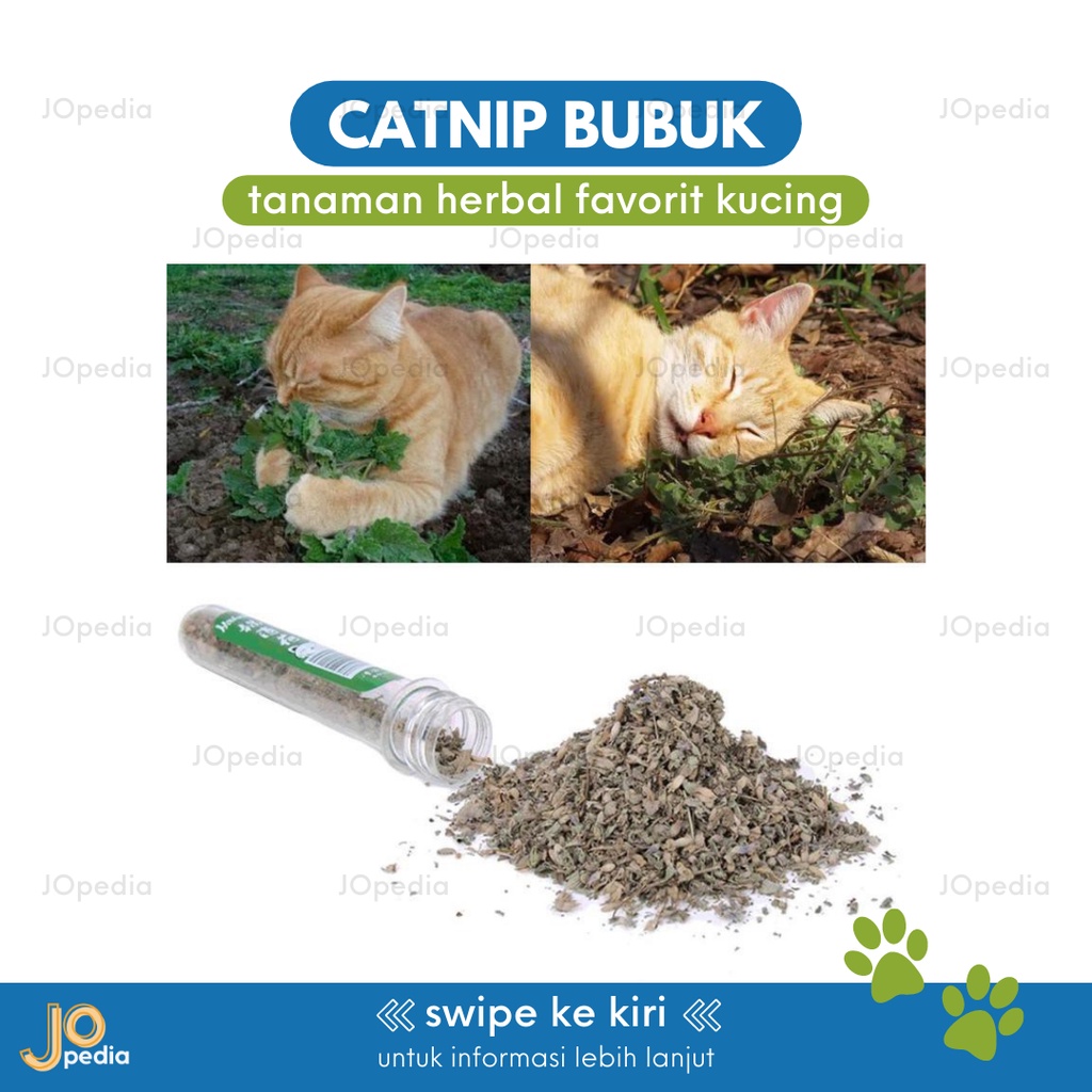 CATNIP BUBUK BOTOL Snack Kucing Makanan Serbuk Daun Cat Mint Powder