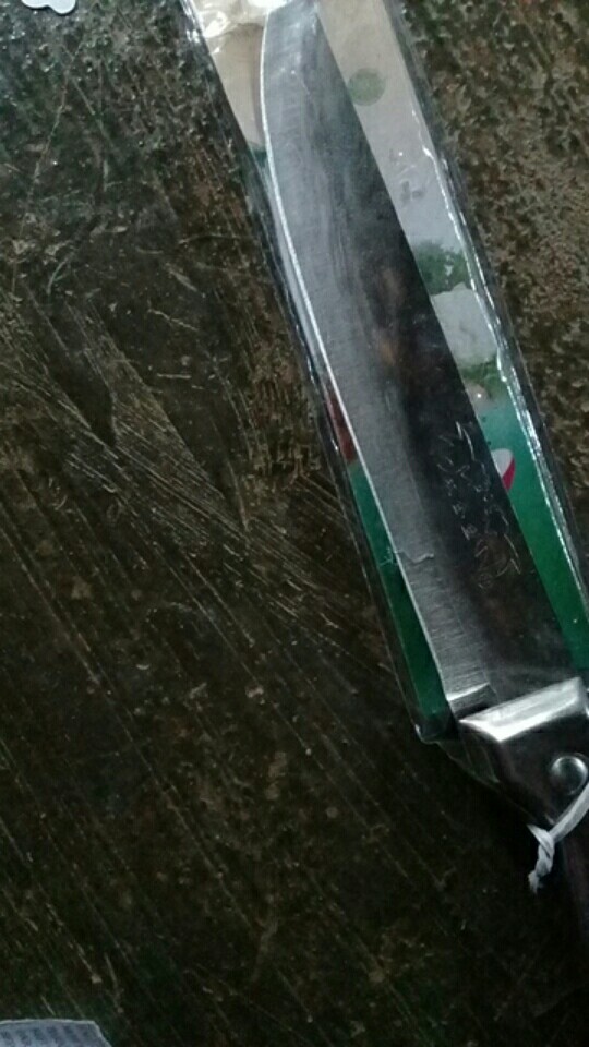 Pisau Dapur Stainless Steel Pisau Serbaguna Daging Sayuran Buah Ikan Premium Quality