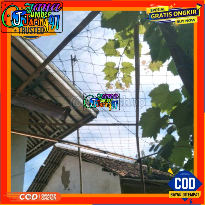 Jaring Tanaman Rambat Sayuran Buah Anggur/Jaring Tanaman Rambatan/Jaring Rambatan Tanaman/Jaring