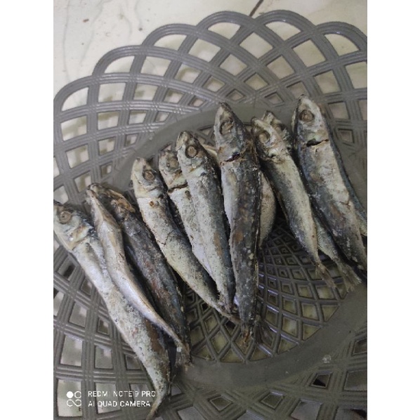 

Ikan asin rebusan 100gr