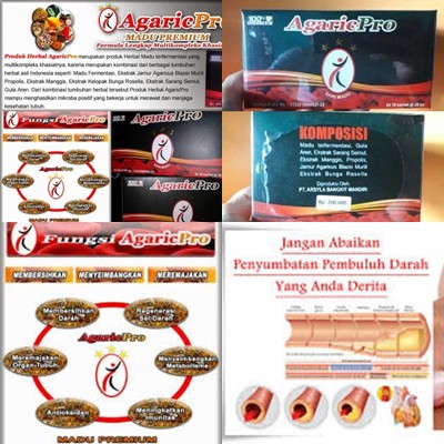 

AGARICPRO OBAT HERBAL JANTUNG KORONER STROKE, PENYEMPITAN DI JANTUNG, JANTUNG BENGKAK PALING AMPUH