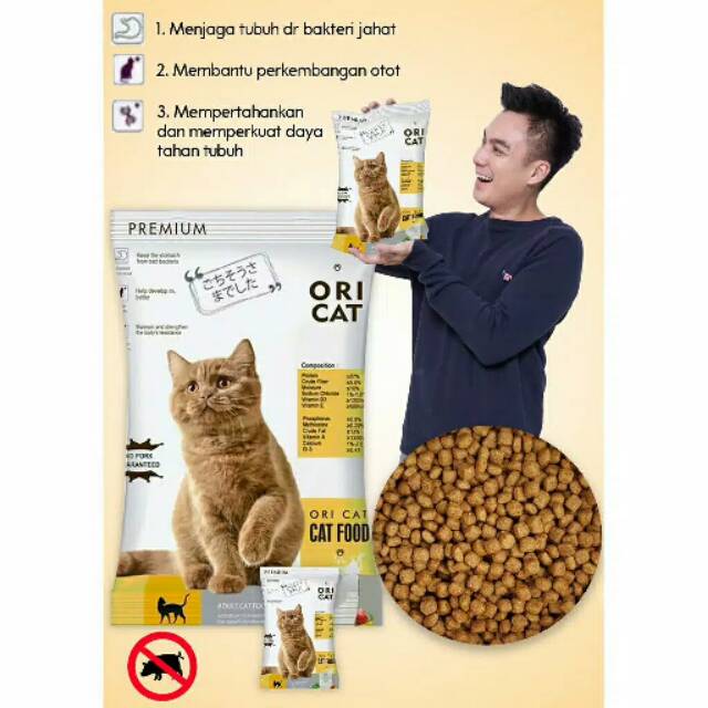 ORI CAT 1KG