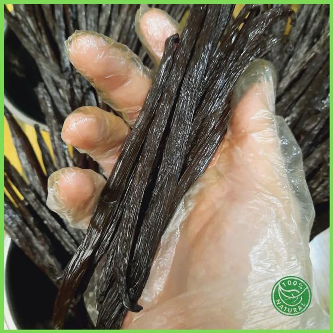 

Vanilla Bean / Vanila Batang /Vanili Kering Grade A Gourmet Planifolia