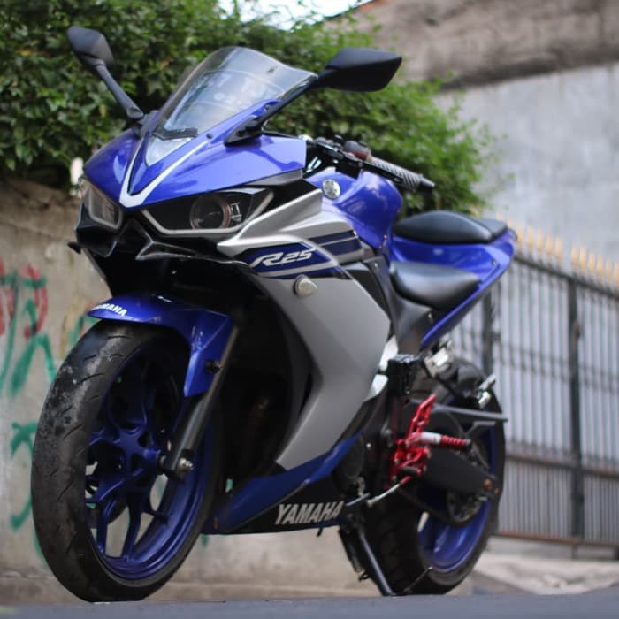 WINGLET KARBON YAMAHA R 25 WINGLET KARBON YAMAHA R25 WINGLET R25  rcb visor winglet proliner