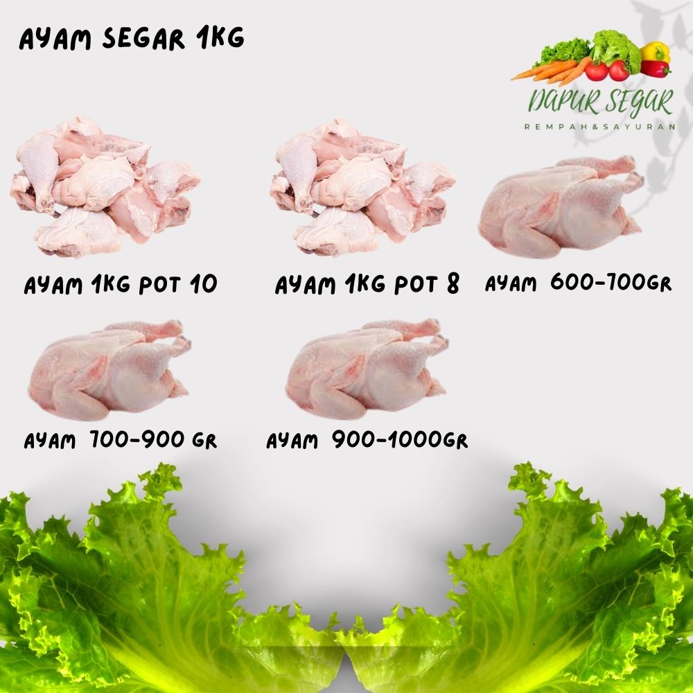 Menaklukkan Pasar Online: Panduan Lengkap Berjualan Ayam Potong Secara Online