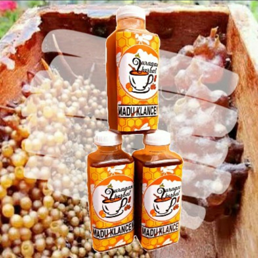 

Madu Murni 250ml 250 ml Lebah Klanceng Kelulut Trigona Leaviceps