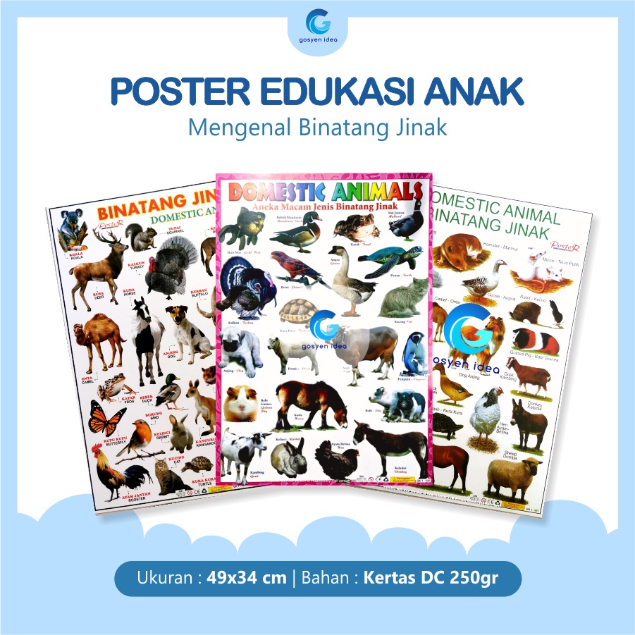 Poster Dinding Edukasi Anak Belajar Gambar Hewan Binatang Jinak