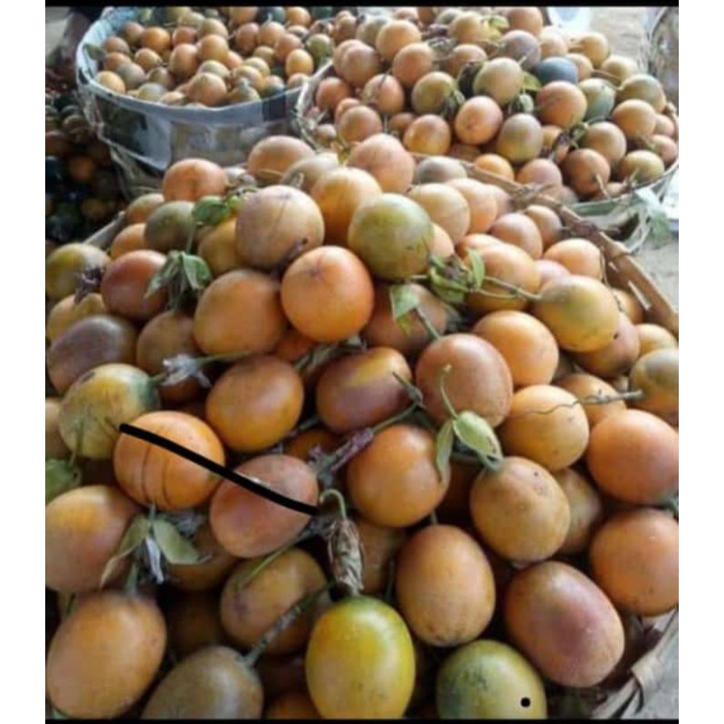 Jual Buah Konyal Rasa Manis 1kg Indonesiashopee Indonesia 