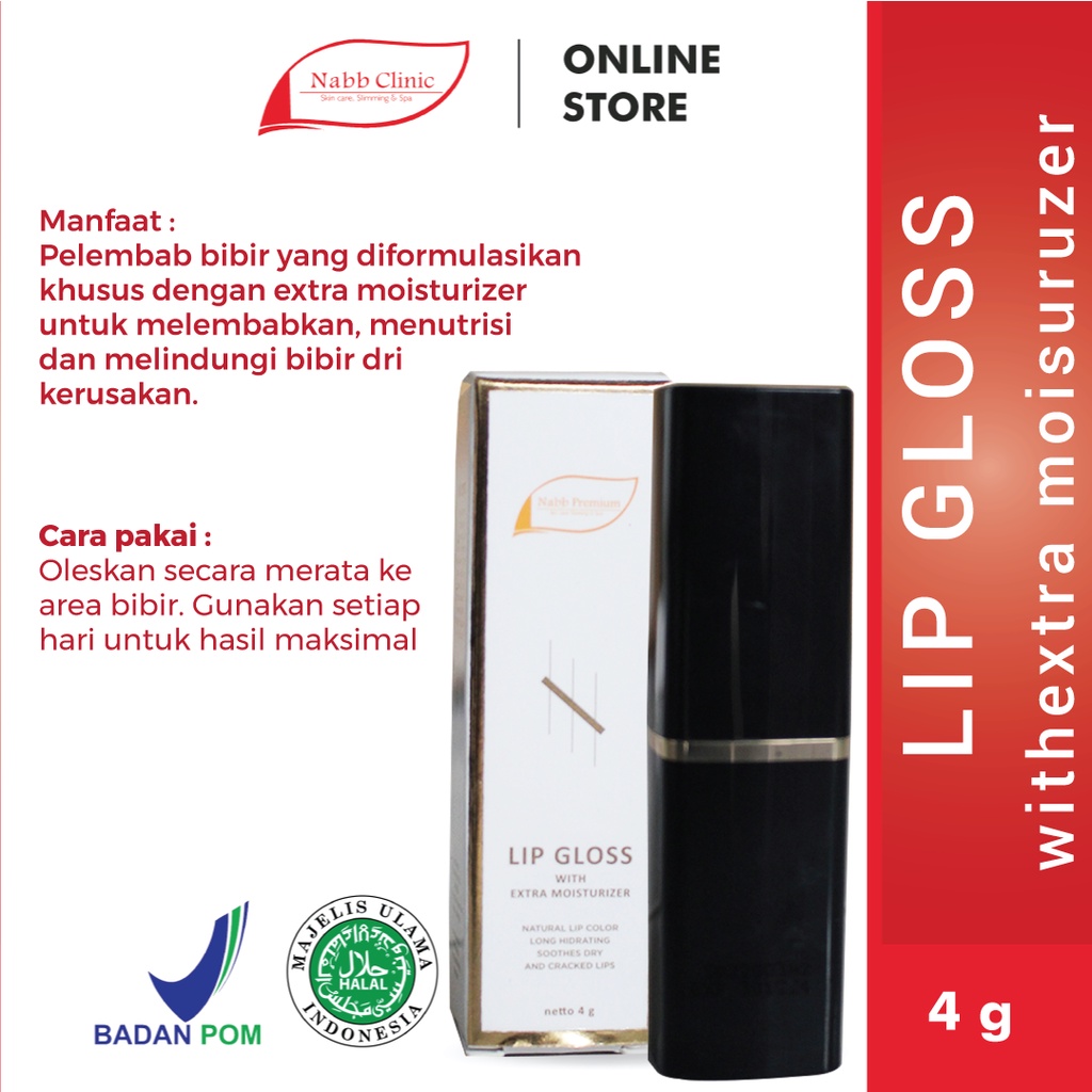 LIPS GLOSS (Pemerah Bibir Instan 2)