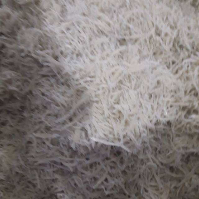 

Ikan teri nasi kering