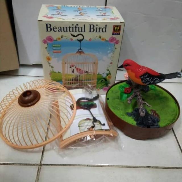 Mainan Anak Beutiful Bird Burung Dalam Sangkar Shopee Indonesia