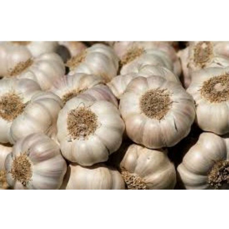

BAWANG PUTIH PER 250 gr