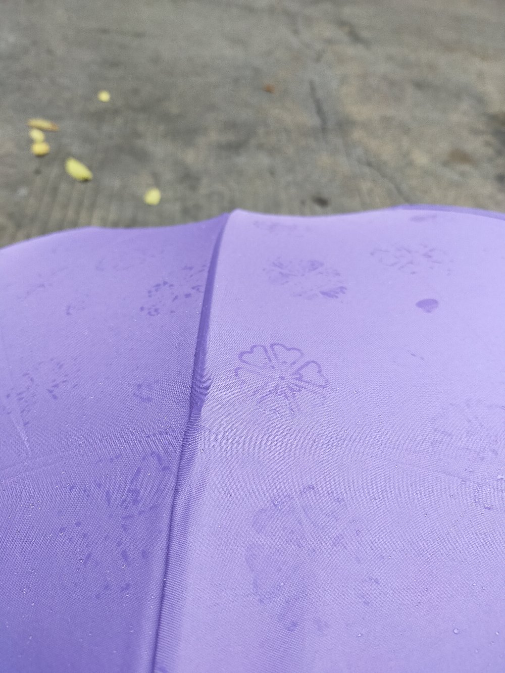 Payung Lipat 3d Magic Polos / Payung Hujan Dengan Motif Yang Muncul Ketika Basah